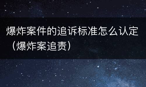 爆炸案件的追诉标准怎么认定（爆炸案追责）