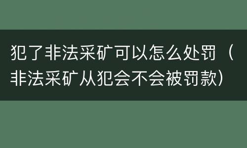 犯了非法采矿可以怎么处罚（非法采矿从犯会不会被罚款）