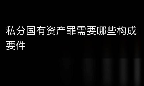 私分国有资产罪需要哪些构成要件