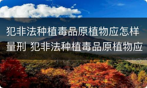 犯非法种植毒品原植物应怎样量刑 犯非法种植毒品原植物应怎样量刑呢