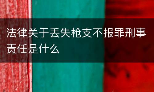 法律关于丢失枪支不报罪刑事责任是什么