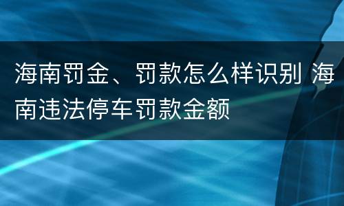 海南罚金、罚款怎么样识别 海南违法停车罚款金额