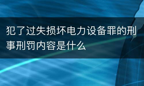 犯了过失损坏电力设备罪的刑事刑罚内容是什么