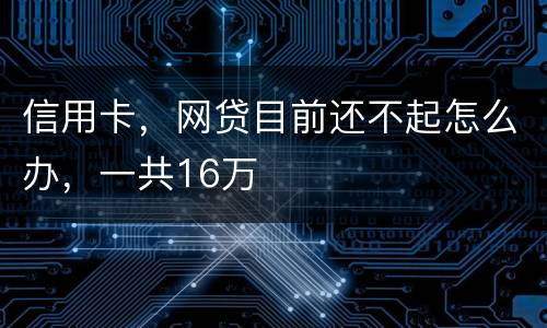 信用卡，网贷目前还不起怎么办，一共16万