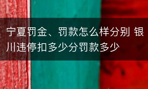 宁夏罚金、罚款怎么样分别 银川违停扣多少分罚款多少