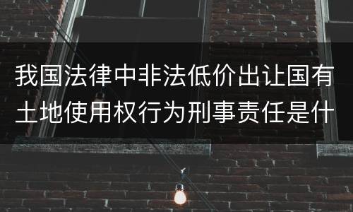 我国法律中非法低价出让国有土地使用权行为刑事责任是什么