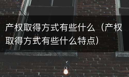 产权取得方式有些什么（产权取得方式有些什么特点）