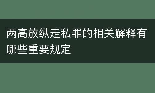 两高放纵走私罪的相关解释有哪些重要规定