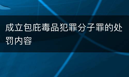 成立包庇毒品犯罪分子罪的处罚内容