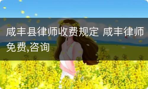 咸丰县律师收费规定 咸丰律师免费,咨询