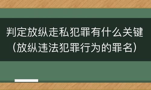 判定放纵走私犯罪有什么关键（放纵违法犯罪行为的罪名）