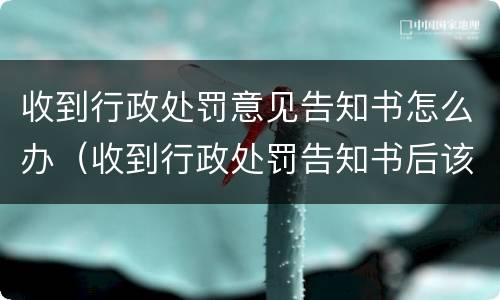 收到行政处罚意见告知书怎么办（收到行政处罚告知书后该怎么办）