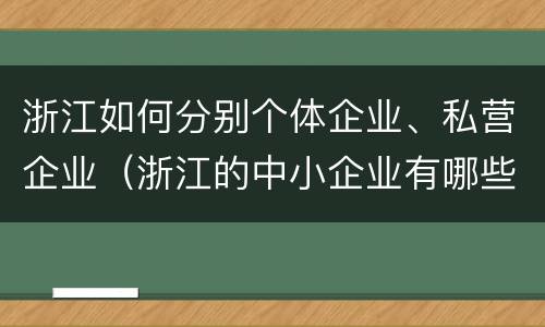 浙江如何分别个体企业、私营企业（浙江的中小企业有哪些）