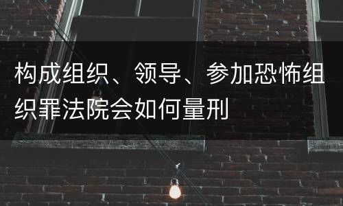 构成组织、领导、参加恐怖组织罪法院会如何量刑