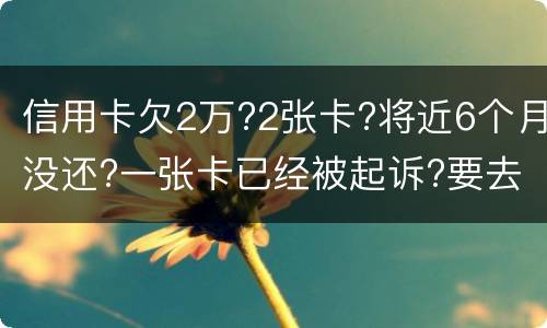 信用卡欠2万?2张卡?将近6个月没还?一张卡已经被起诉?要去公安局现在怎么办