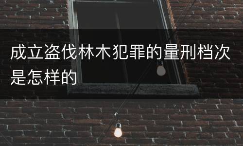 成立盗伐林木犯罪的量刑档次是怎样的