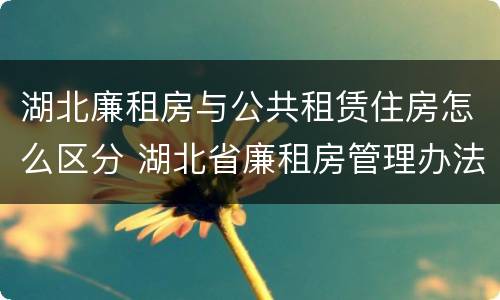 湖北廉租房与公共租赁住房怎么区分 湖北省廉租房管理办法