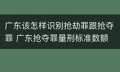 广东该怎样识别抢劫罪跟抢夺罪 广东抢夺罪量刑标准数额