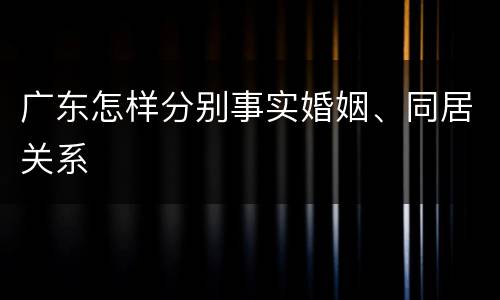 广东怎样分别事实婚姻、同居关系