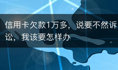 信用卡欠款1万多，说要不然诉讼，我该要怎样办