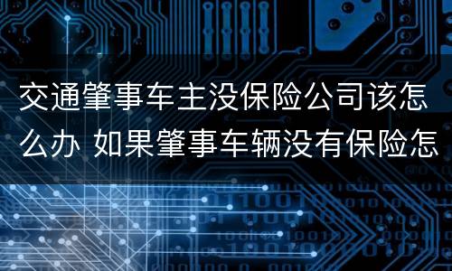 交通肇事车主没保险公司该怎么办 如果肇事车辆没有保险怎么办