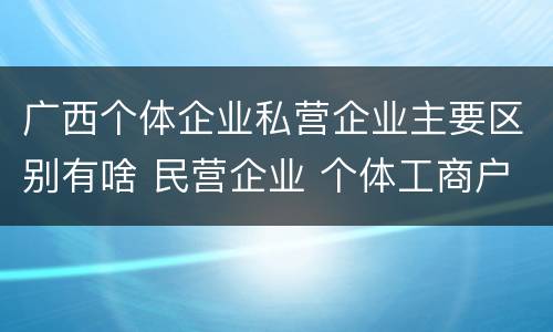 广西个体企业私营企业主要区别有啥 民营企业 个体工商户 区别