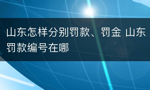 山东怎样分别罚款、罚金 山东罚款编号在哪