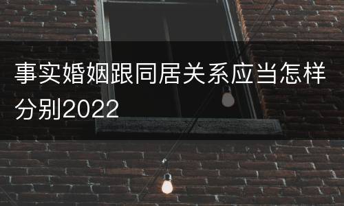 事实婚姻跟同居关系应当怎样分别2022