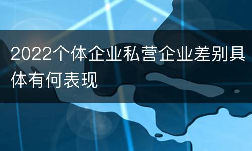 2022个体企业私营企业差别具体有何表现