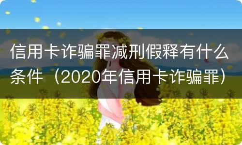 信用卡诈骗罪减刑假释有什么条件（2020年信用卡诈骗罪）