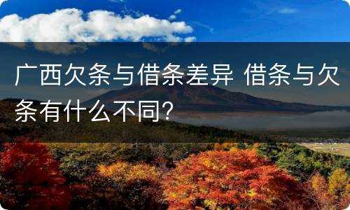 广西欠条与借条差异 借条与欠条有什么不同?