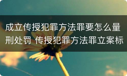 成立传授犯罪方法罪要怎么量刑处罚 传授犯罪方法罪立案标准