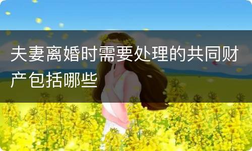 夫妻离婚时需要处理的共同财产包括哪些