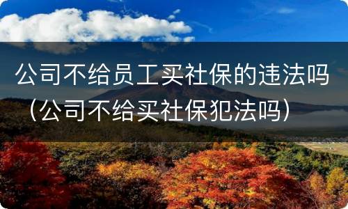 公司不给员工买社保的违法吗（公司不给买社保犯法吗）