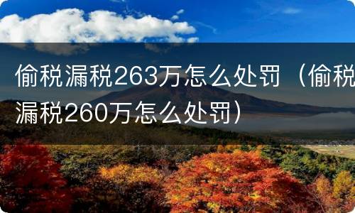 偷税漏税263万怎么处罚（偷税漏税260万怎么处罚）