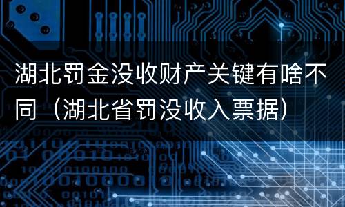 湖北罚金没收财产关键有啥不同（湖北省罚没收入票据）