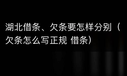 湖北借条、欠条要怎样分别（欠条怎么写正规 借条）