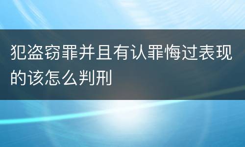 犯盗窃罪并且有认罪悔过表现的该怎么判刑