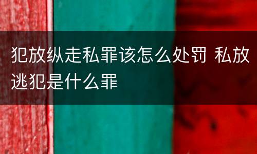 犯放纵走私罪该怎么处罚 私放逃犯是什么罪