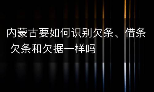 内蒙古要如何识别欠条、借条 欠条和欠据一样吗