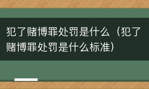 犯了赌博罪处罚是什么（犯了赌博罪处罚是什么标准）