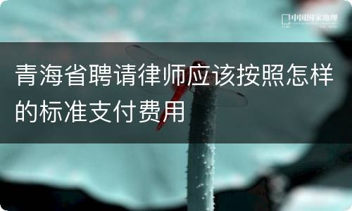 青海省聘请律师应该按照怎样的标准支付费用