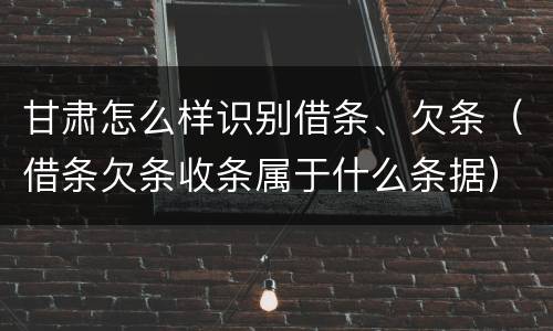 甘肃怎么样识别借条、欠条（借条欠条收条属于什么条据）