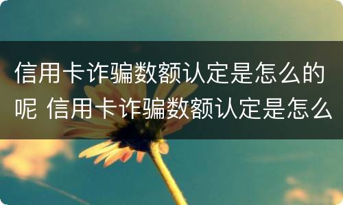 信用卡诈骗数额认定是怎么的呢 信用卡诈骗数额认定是怎么的呢图片