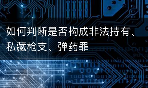 如何判断是否构成非法持有、私藏枪支、弹药罪