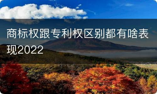 商标权跟专利权区别都有啥表现2022