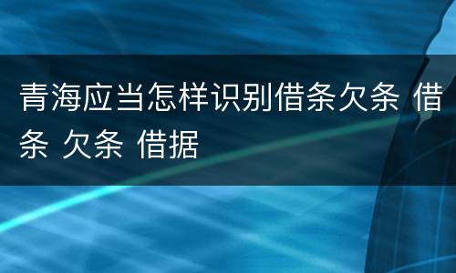 青海应当怎样识别借条欠条 借条 欠条 借据