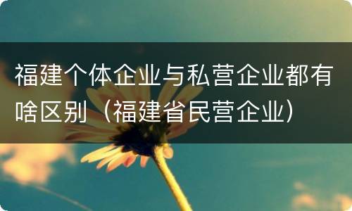 福建个体企业与私营企业都有啥区别（福建省民营企业）