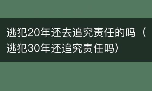 逃犯20年还去追究责任的吗（逃犯30年还追究责任吗）