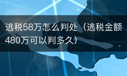 逃税58万怎么判处（逃税金额480万可以判多久）